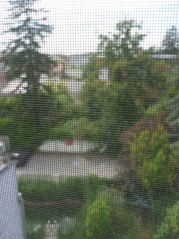 Bild 19 von Objekt Nr. 1131