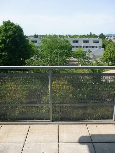 Bild 19 von Objekt Nr. 743