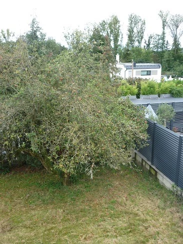Bild 31 von Objekt Nr. 1135