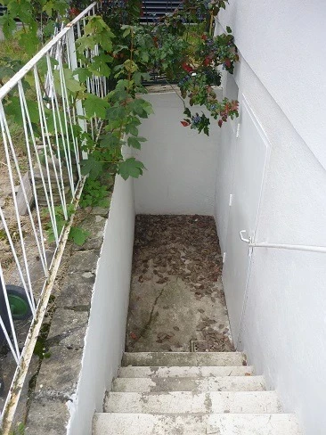 Bild 37 von Objekt Nr. 1135
