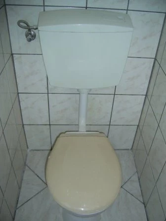 Bild 19 von Objekt Nr. 616