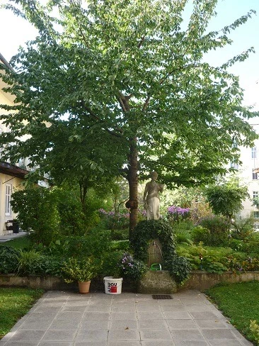 Bild 2 von Objekt Nr. 1136