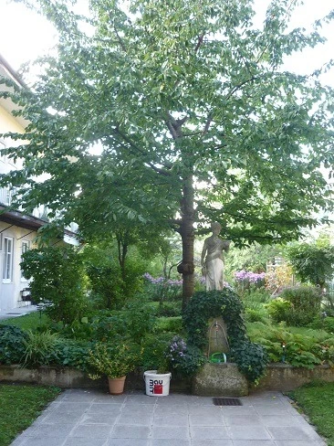 Bild 17 von Objekt Nr. 1136