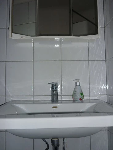 Bild 19 von Objekt Nr. 263