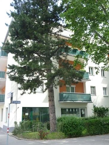 Ältere Neubauhauptmiete, WG-Eignung!