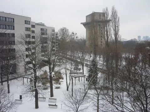 Bild 6 von Objekt Nr. 621