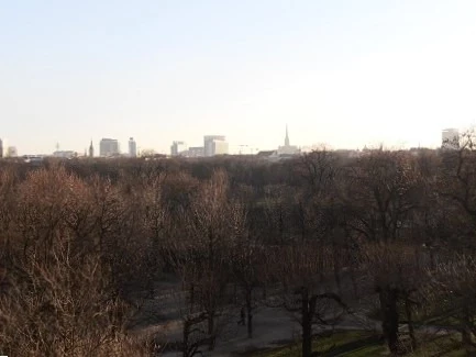 Bild 12 von Objekt Nr. 621