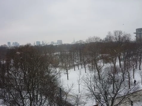 Bild 13 von Objekt Nr. 621