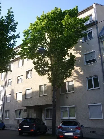 Ältere Neubauhauptmiete in Hofgrünruhelage