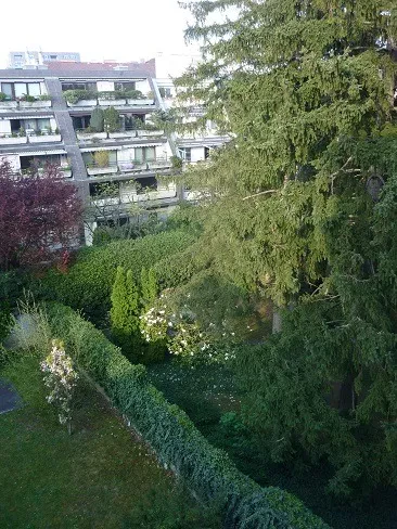 Bild 11 von Objekt Nr. 1149