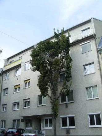 Ältere Neubauhauptmiete in Hofgrünruhelage